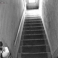 JP WuhanKungFlu 🤺🤺🤜🤛