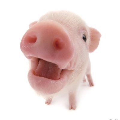 ปีศาจหมุ