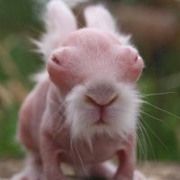 Through_the_Looking_Glass