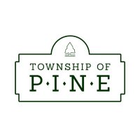 Township of Pine Allegheny County