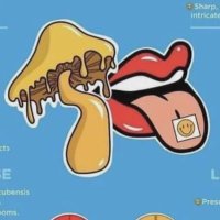 ii神奈川手押し秦野伊勢原平塚茅ヶ崎寒川江ノ島大磯二宮