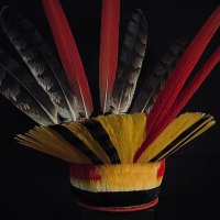 🪶Porã ( Humanista) 🏹🌳 🐆