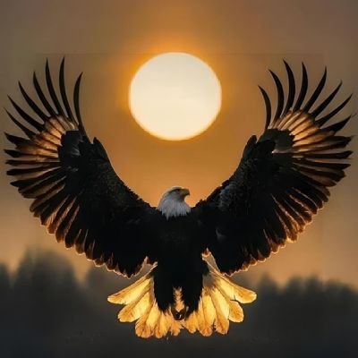 2k🦅punter💙🦅💙