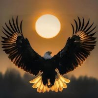 2k🦅punter💙🦅💙