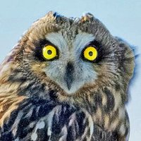 DerekGrantDigital.com