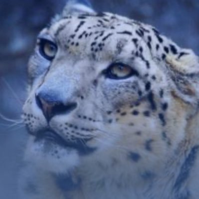 白島　真（しろしましん）低浮上