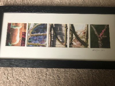 @Dr Jenny Ceolta-Smith PhD RetiredOT 💙💛