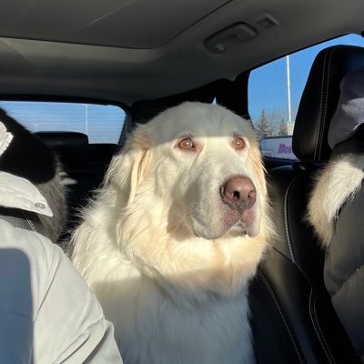 Margaret Gobert π¨π¦π¨π¦ππ