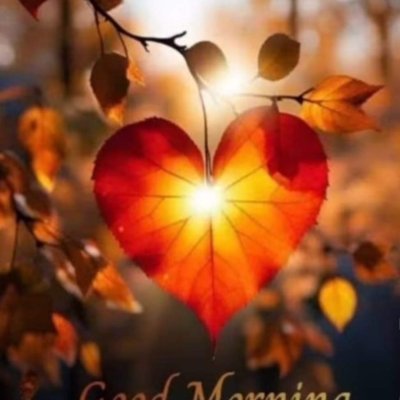 🇨🇦BCValleyGirl🇨🇦