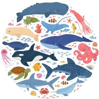 ORCA✕DRAGON@パワフルな病人