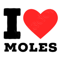 Ingrid Hoeben Ⓥ 🇧🇪 @IngridHbn@mastodon.online