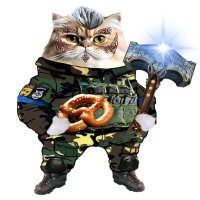 ElsassonFella 🇫🇷 🇪🇺 🇺🇦