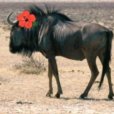 シン・大前田ジュージューバーガー留次郎