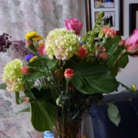 Harvee44-Harvee Reads