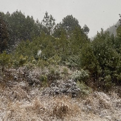 学歴浪ンダリング