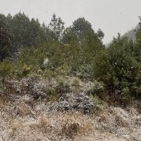 学歴浪ンダリング