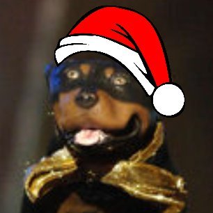 DonkConnects ♻️™