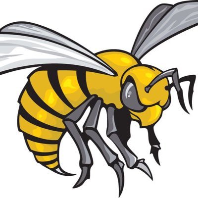 Alabama State Women's Flag Football