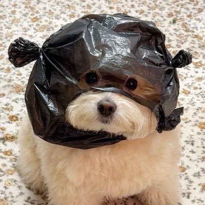 ♡ riry ♡ ˊ˗🥯