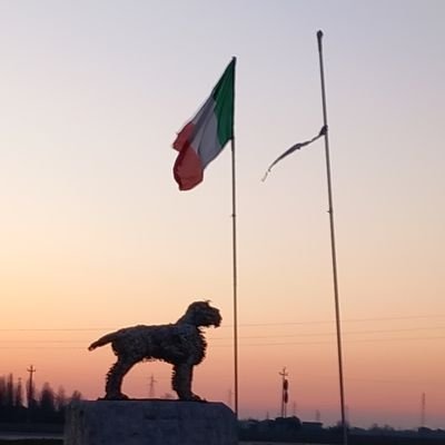 Carmen563 ☮️ 🌍Liberta' ✝️ 🇮🇹 🎄