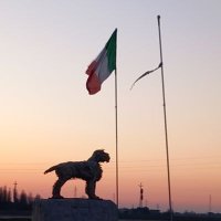 Carmen563 ☮️ 🌍Liberta' ✝️ 🇮🇹 🎄