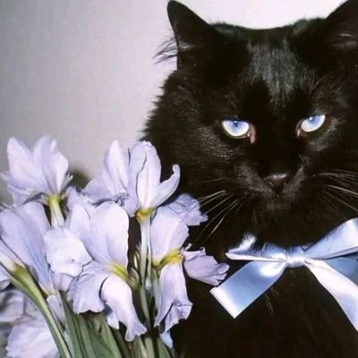 αdr ²⁴⁴🎀 𝄢