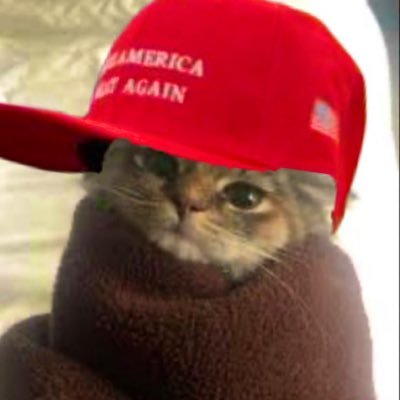 Ｃａｔｍａｘｘｅｒ