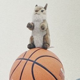 メイ子🐿💪