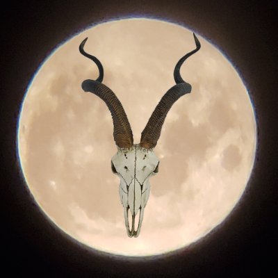 Antilope Malo 100% Follow Back