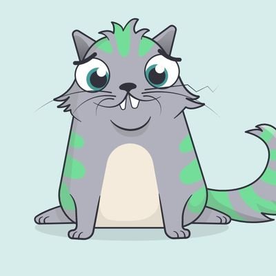 Crypto Maxi Kat