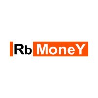 RB MONEY FINANCIAL SERVICES PVT LTD