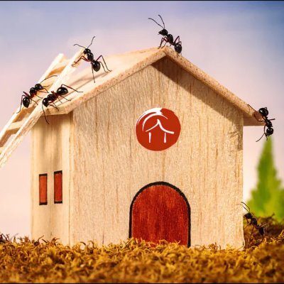 Zen Haus Nutrition and Holistic Health