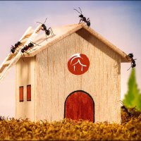 Zen Haus Nutrition and Holistic Health