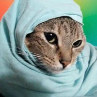 Cláudia🚩🚩🇧🇷