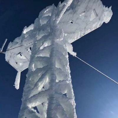 🙊🙉🙈 monísimas🇮🇱🇪🇸