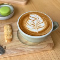 ことねっち⛱️