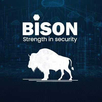 Bison Solutions and Services