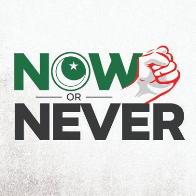Now Or Never Movement