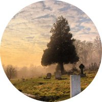 verstorbene_prominente