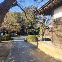 スマホマイニング