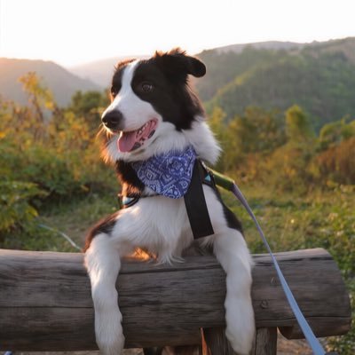 ✾ A̷ I̷ N̷ G̷ F̷ A̷ ✾ ♫•*¨*•.¸¸♪