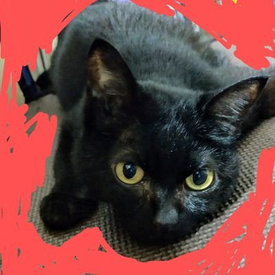 りえ 🛰だいち