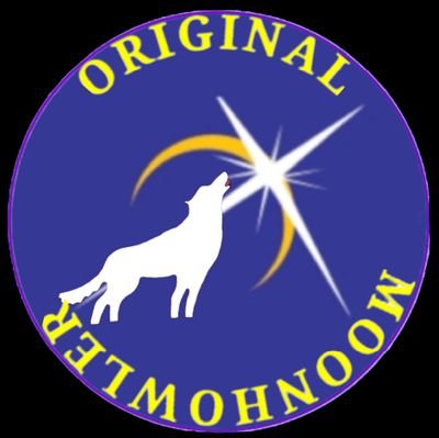 Dave Llewellyn Boom Boom Tel Aviv