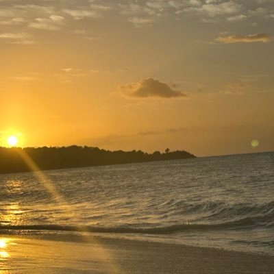 Hackney Hive🎸🇳🇬🇬🇩🇻🇨 🇵🇸