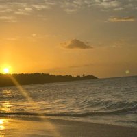 Hackney Hive🎸🇳🇬🇬🇩🇻🇨 🇵🇸