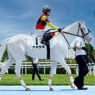 【公式】アオラキfamily