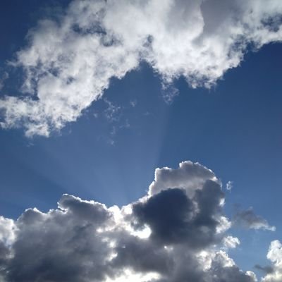 mamrara777＠公私混同中