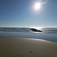 🇺🇲 🇮🇱 YONÎ 🇨🇵 🇨🇭