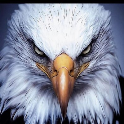 D.O.G (DankoOdieGoku)