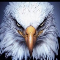 D.O.G (DankoOdieGoku)